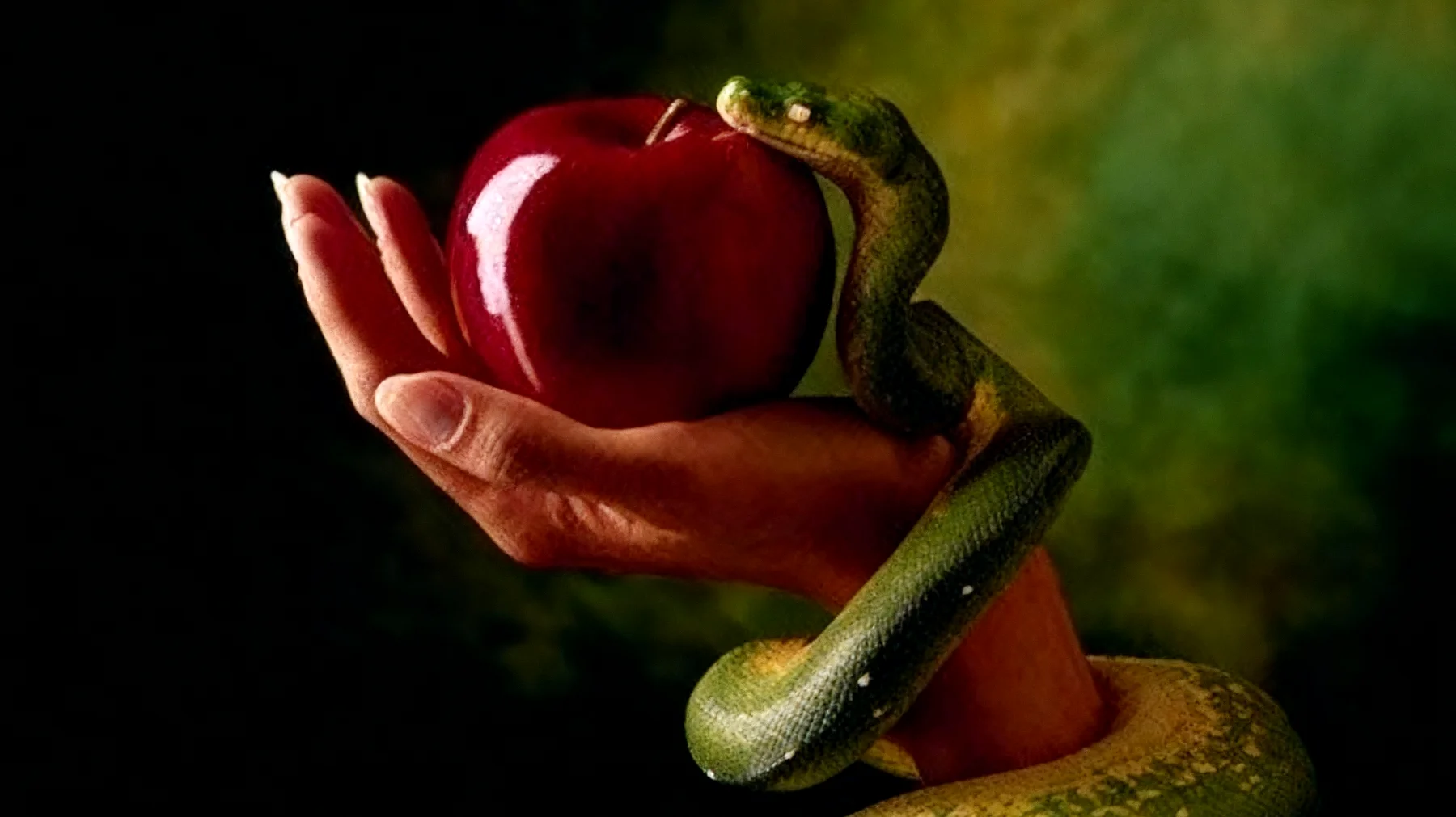 Forbidden Fruit2025-12-22T08:57:07.258Z"