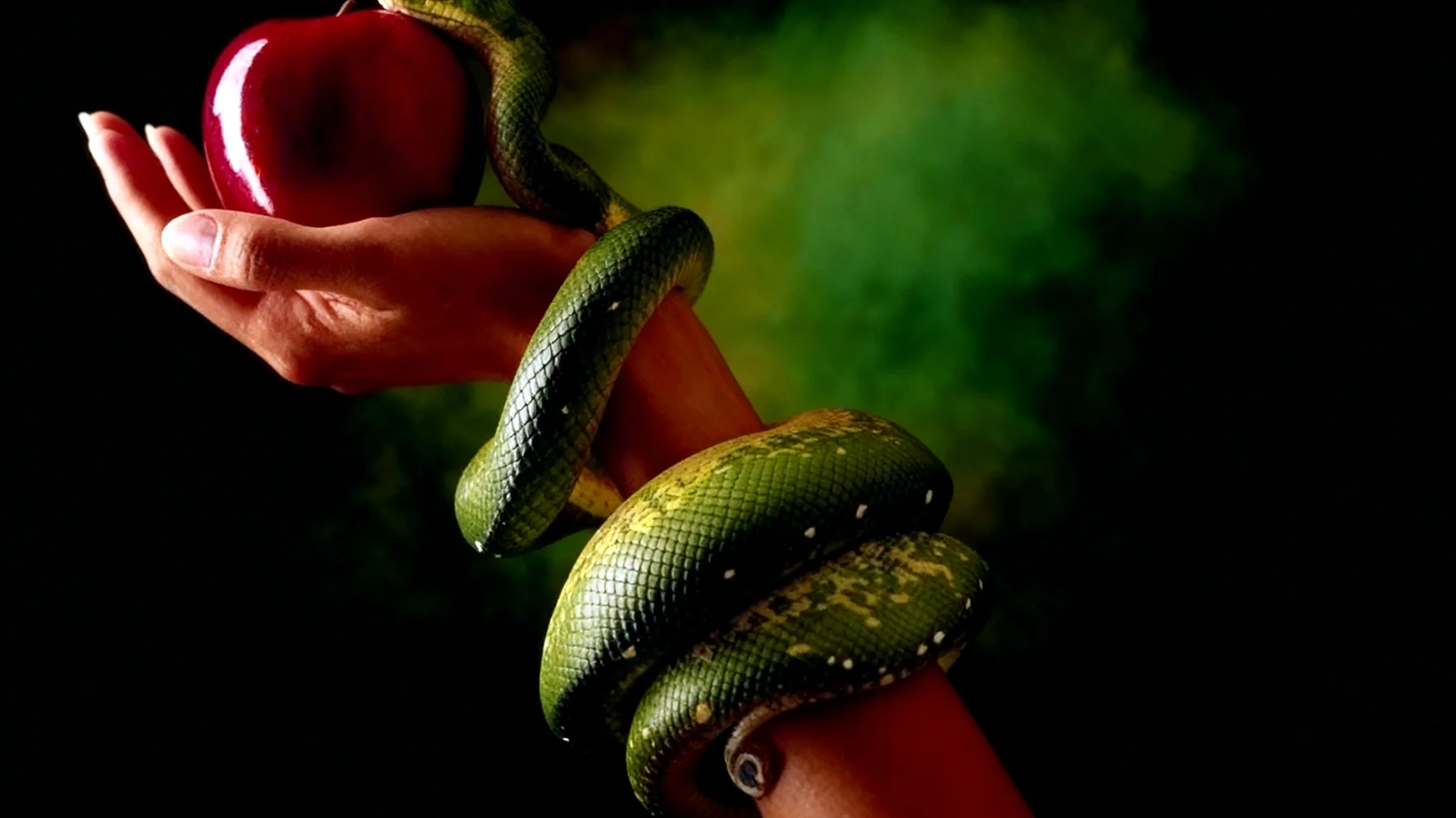 Forbidden Fruit2025-12-23T08:49:41.518Z"