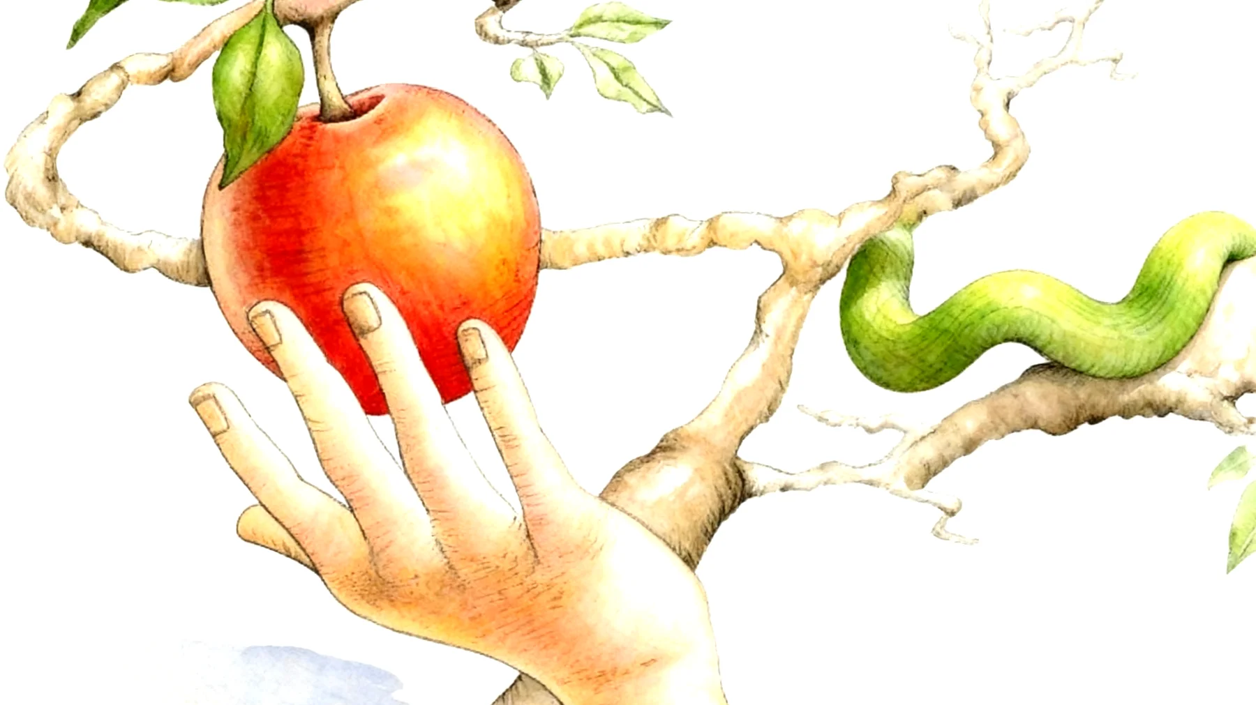 Forbidden Fruit2025-12-26T08:57:24.115Z"