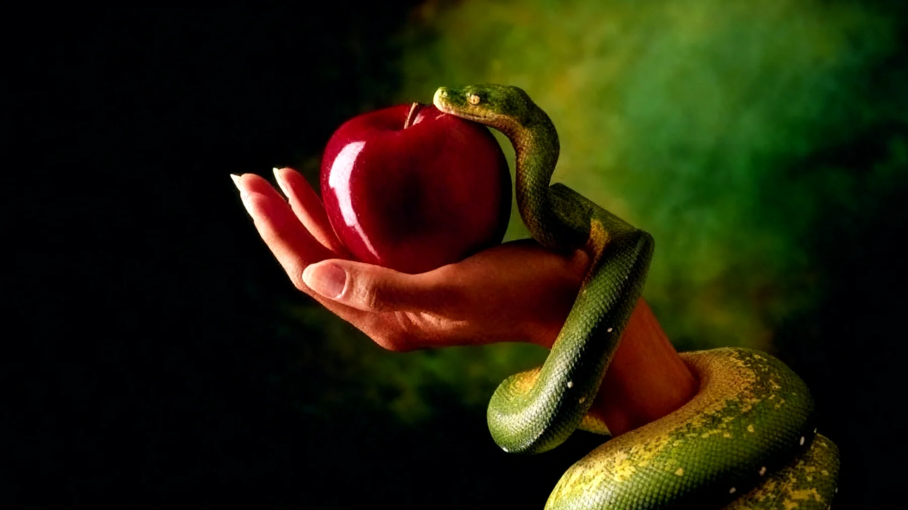 Forbidden Fruit2025-12-28T08:55:40.873Z"