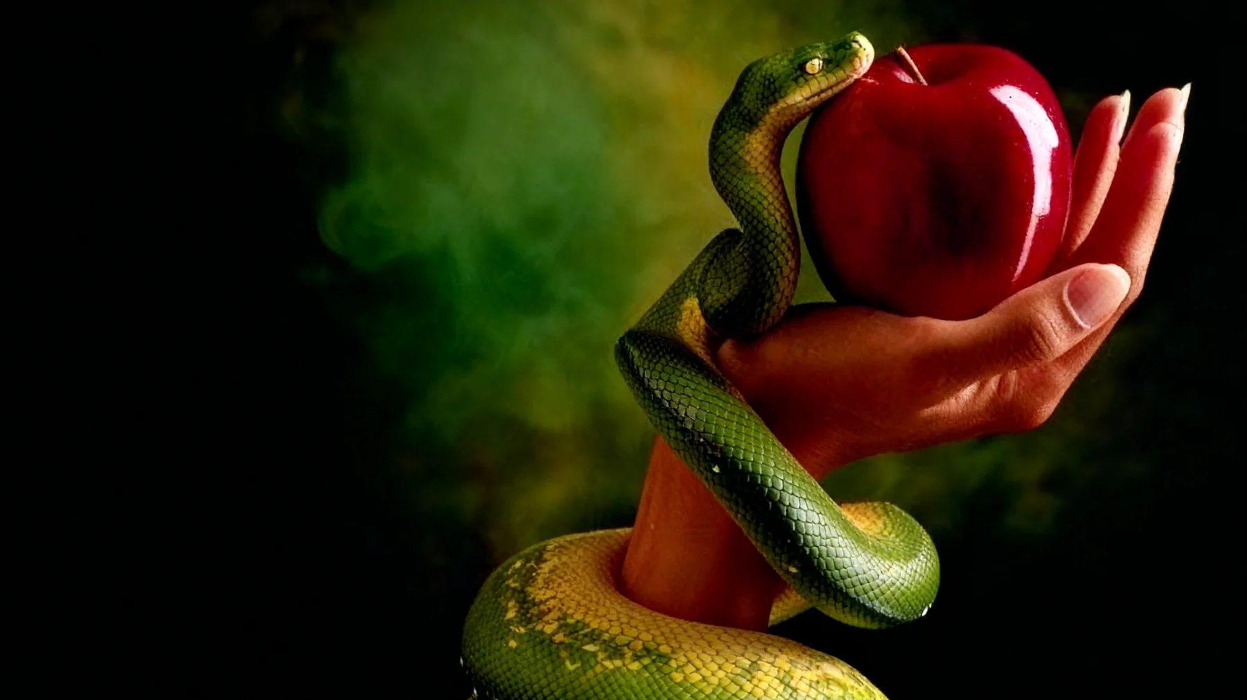 Forbidden Fruit2025-12-29T08:52:15.161Z"