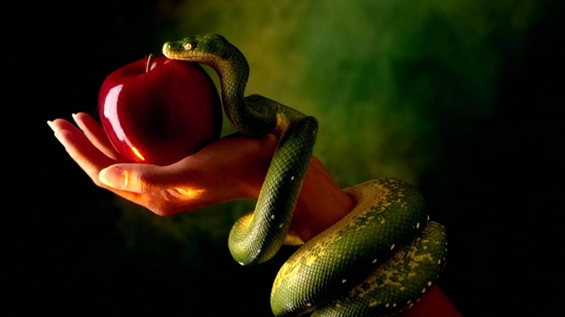 Forbidden Fruit2025-12-30T08:44:57.252Z"