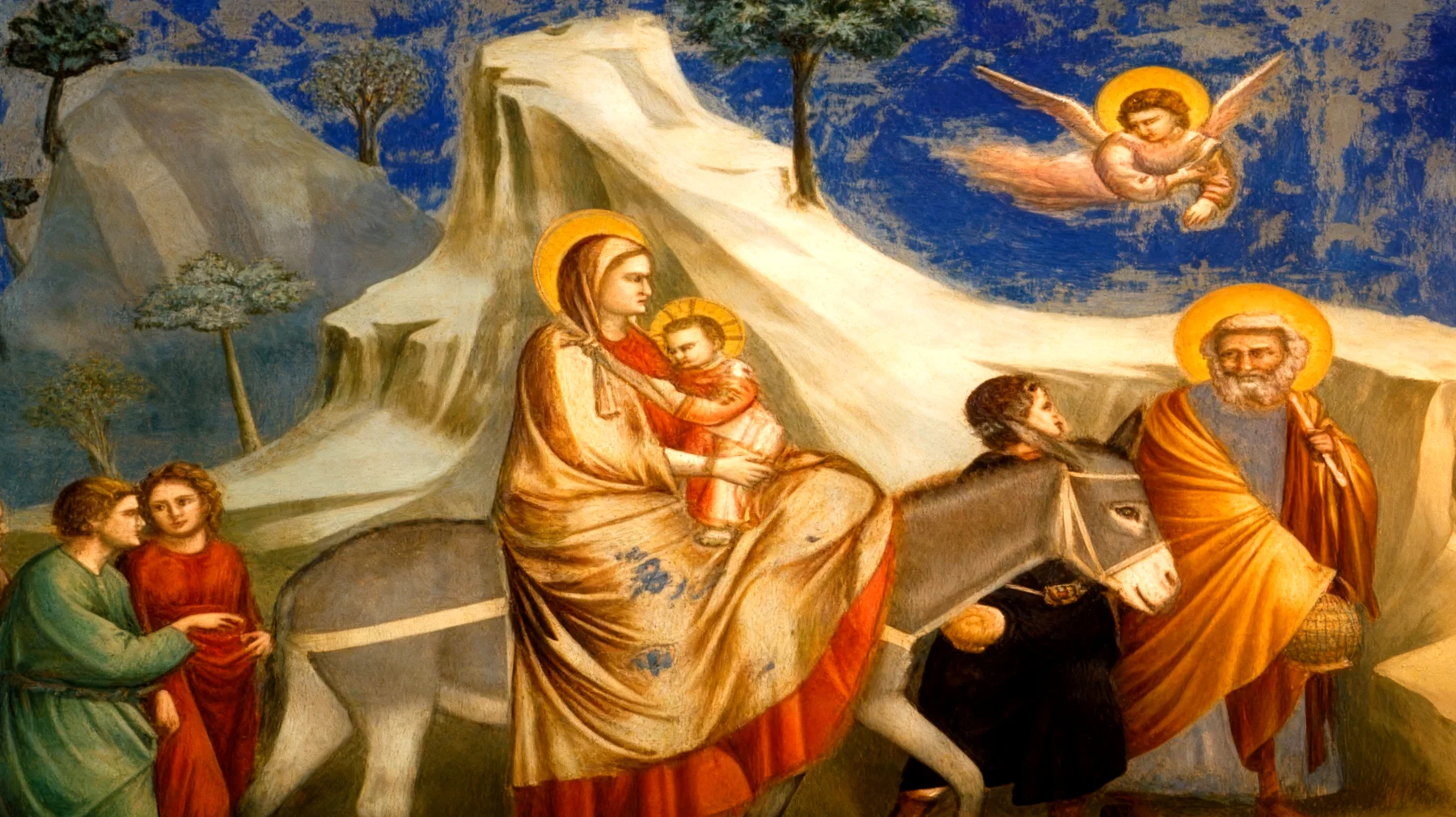 La forza di una donna2025-12-19T08:46:36.115Z"