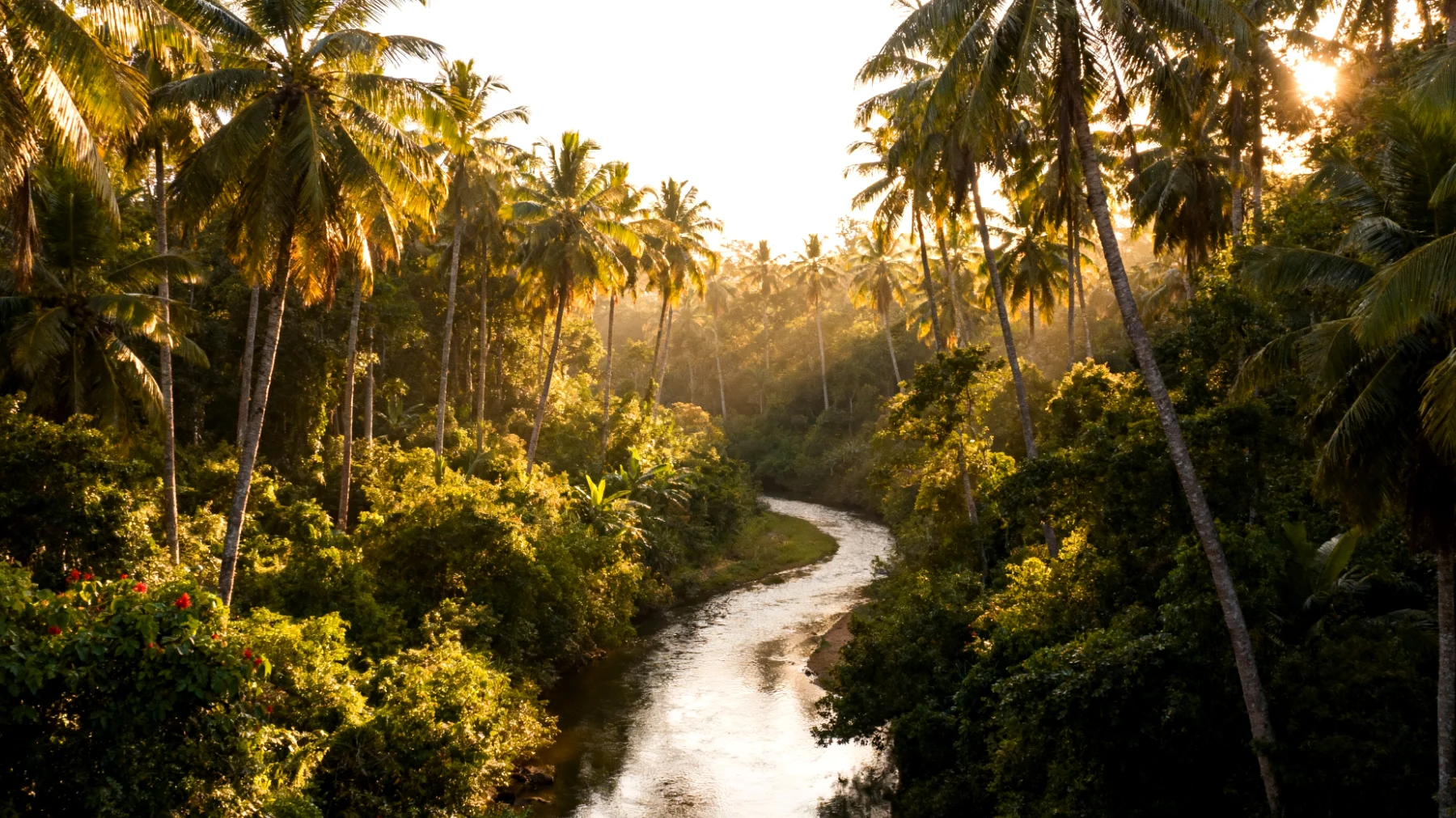 Parco Nazionale di Yala"