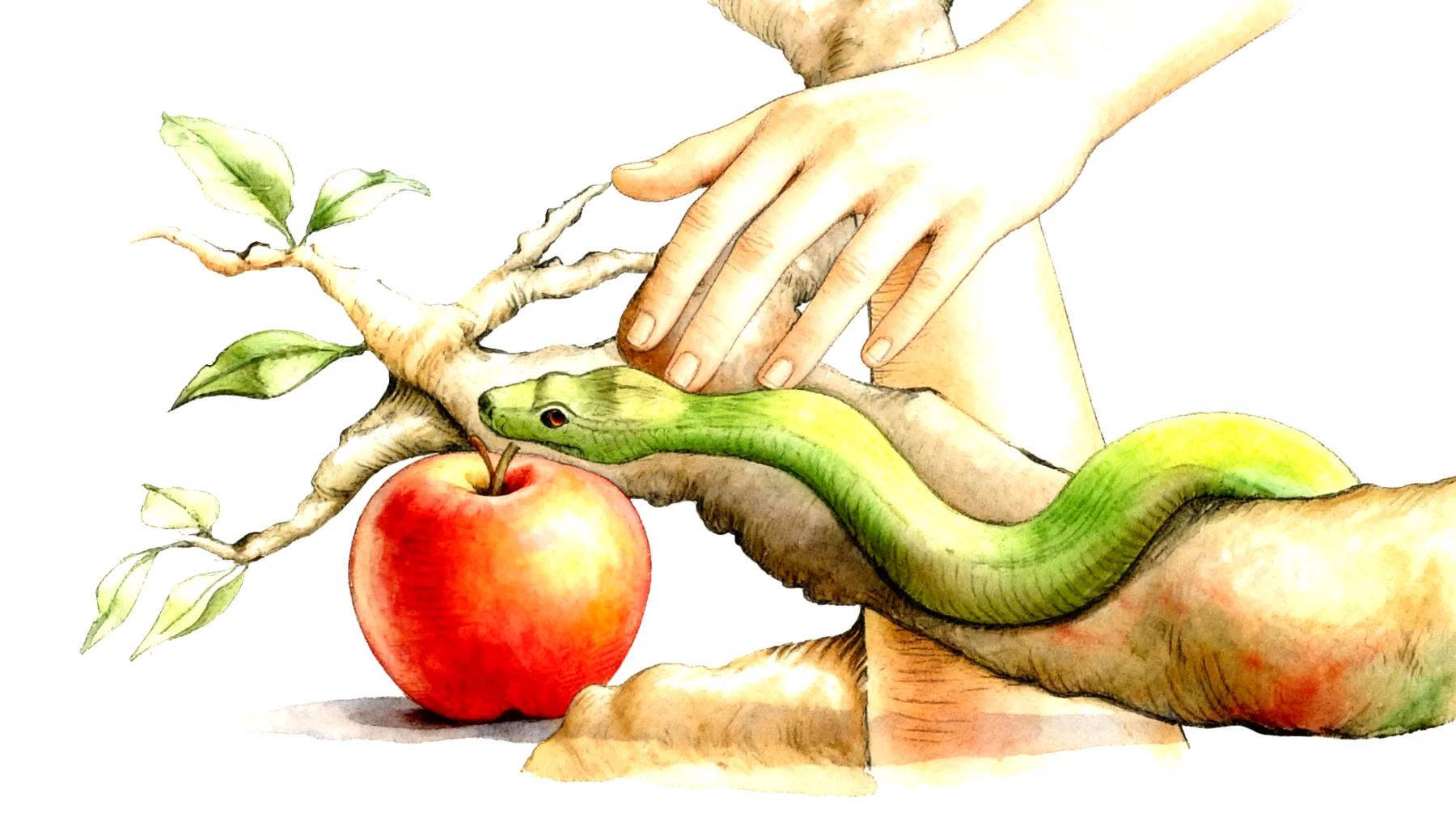 Forbidden Fruit2026-01-01T08:58:15.762Z"