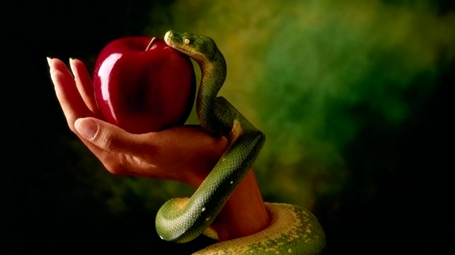 Forbidden Fruit2026-01-06T08:57:05.932Z"