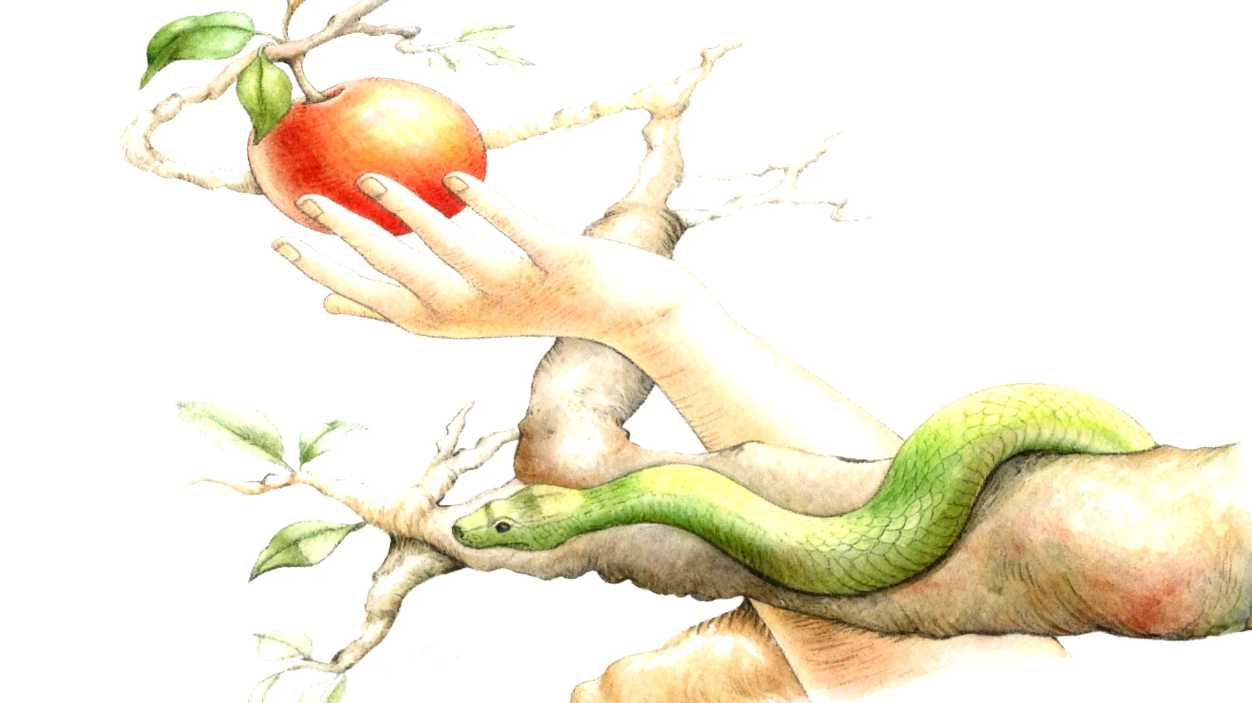 Forbidden Fruit2026-01-11T08:55:28.959Z"